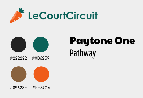 Identité graphique actuelle de LeCourtCircuit